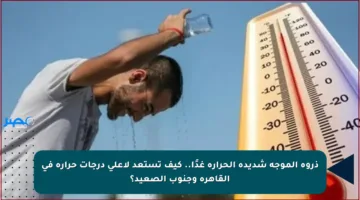 ذروة الموجة شديدة الحرارة غدًا.. كيف تستعد لأعلى درجات حرارة في القاهرة وجنوب الصعيد؟
